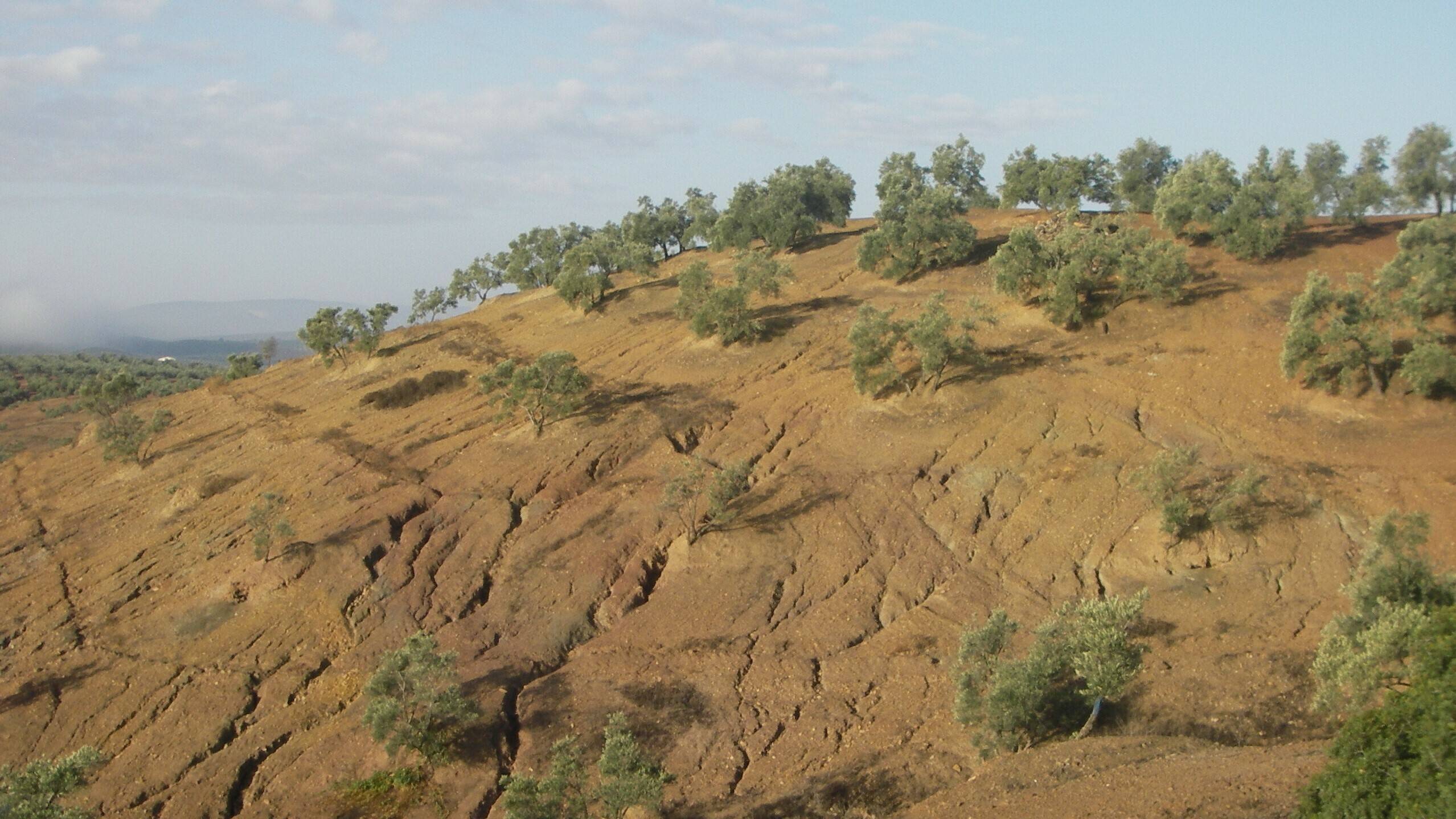 conservacion-suelos-carcavas|conservacion-suelos-carcavas|Control-de-carcavas